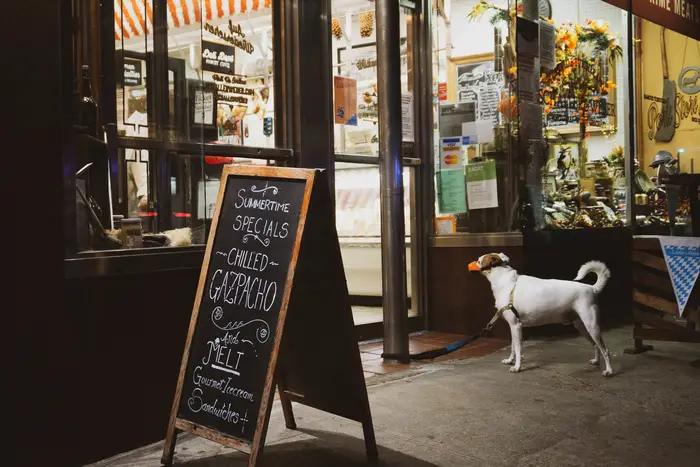 A photo of a dog waiting for its owner outside a store